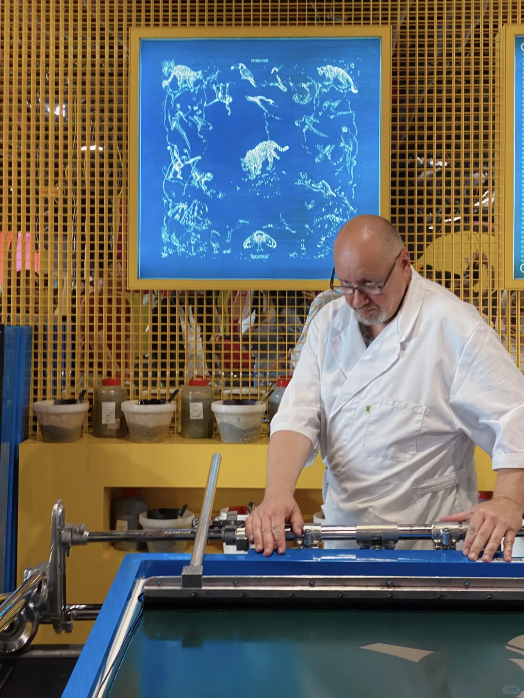 深圳海边限时展览?真的令人大开眼界啊‼️