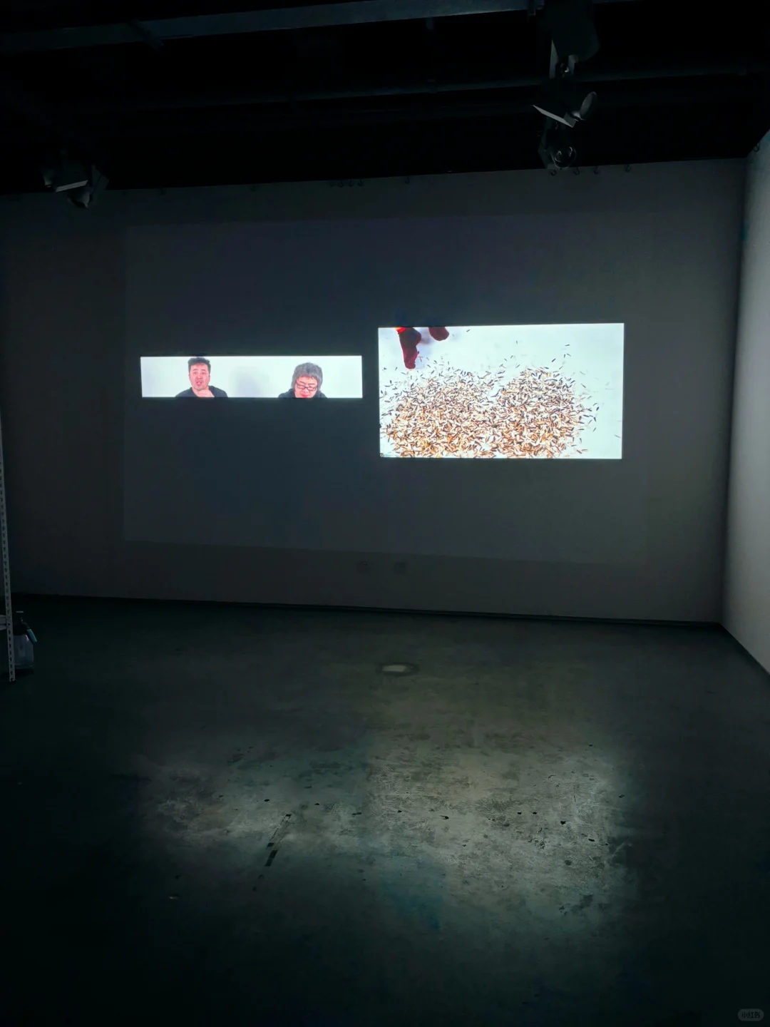 看展｜未名之海 万物共生｜小朋友的艺术视角