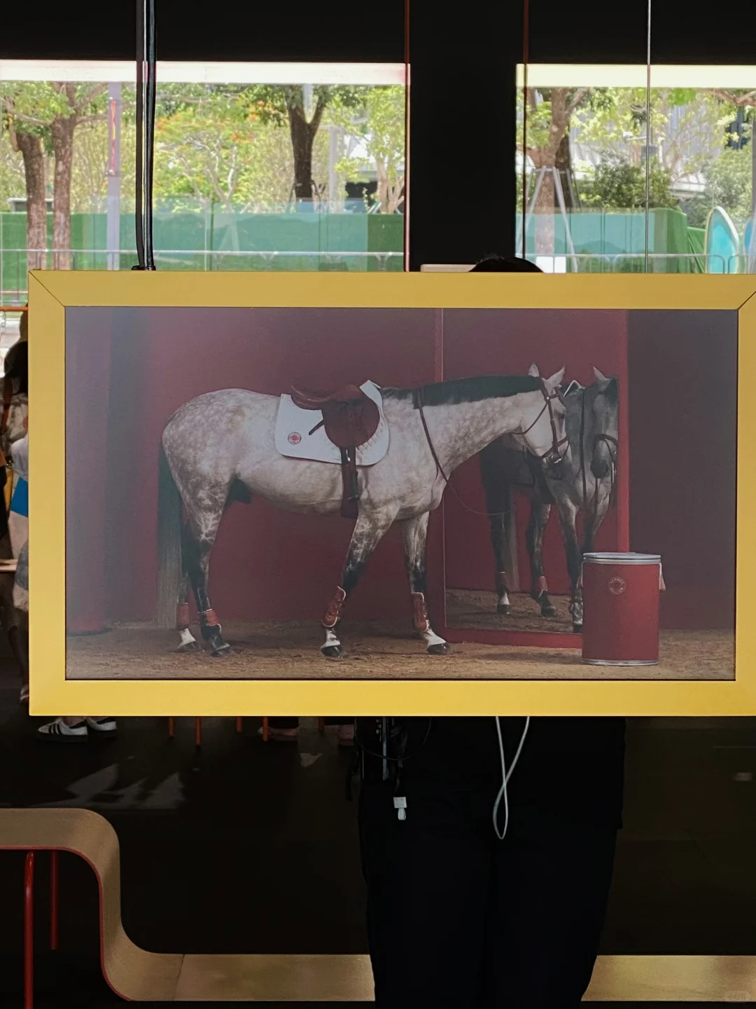 深圳海边限时展览?真的令人大开眼界啊‼️