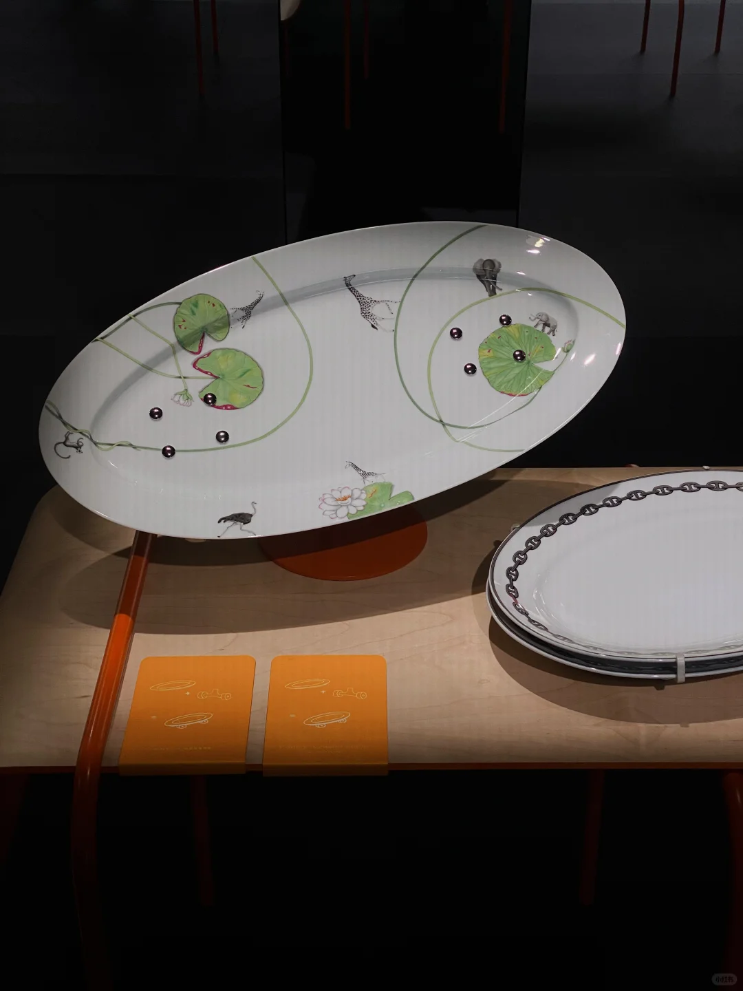 深圳海边限时展览?真的令人大开眼界啊‼️