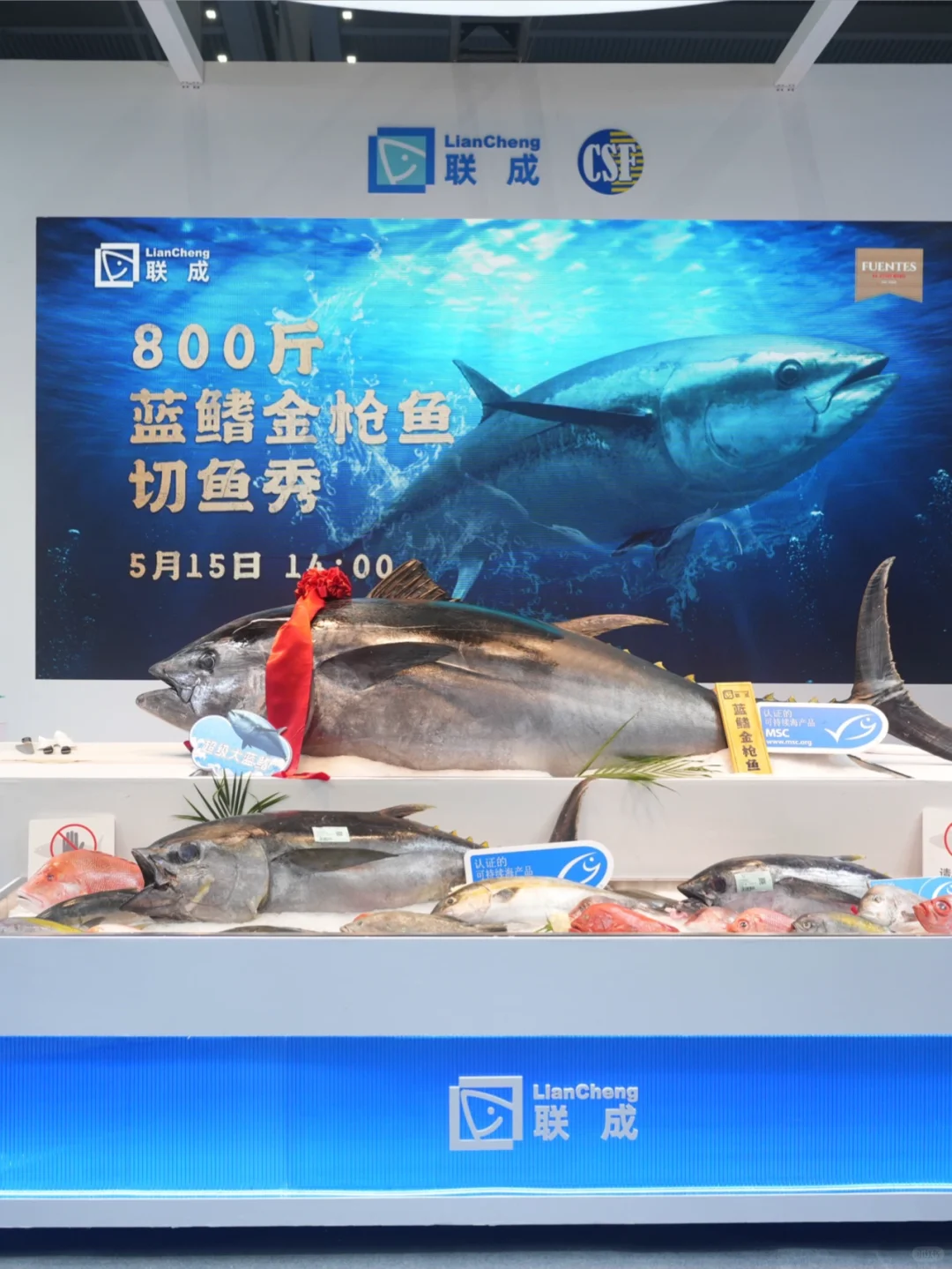 ?深圳渔博会 揭秘远洋渔业的星辰大海