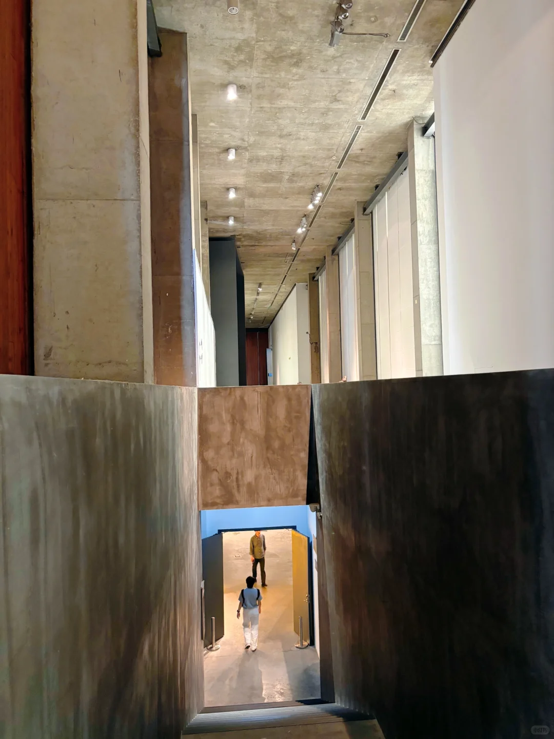 看展｜未名之海 万物共生｜小朋友的艺术视角