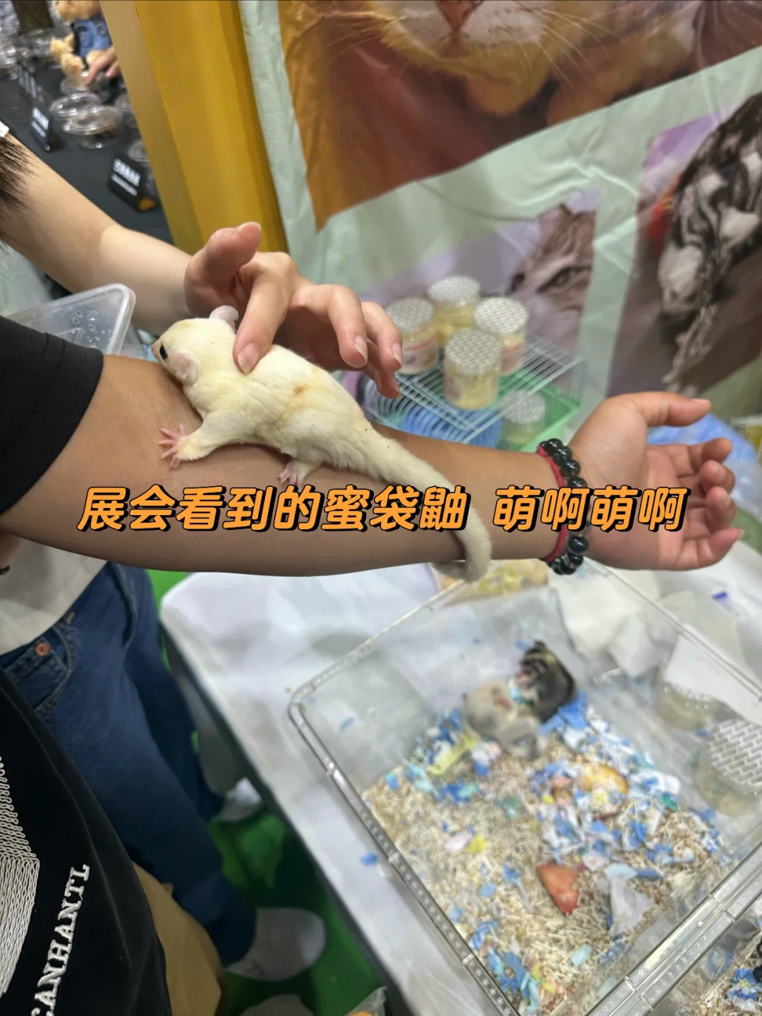 创业小白如何找灵感和选品：《逛展会》