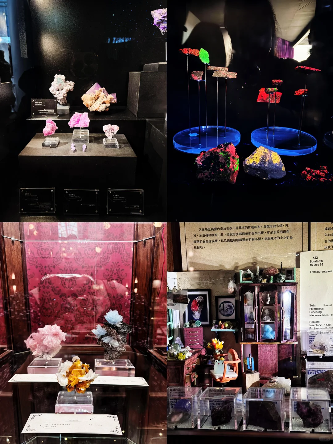 南京矿博会 | 我被宝石“拿捏”的一天?