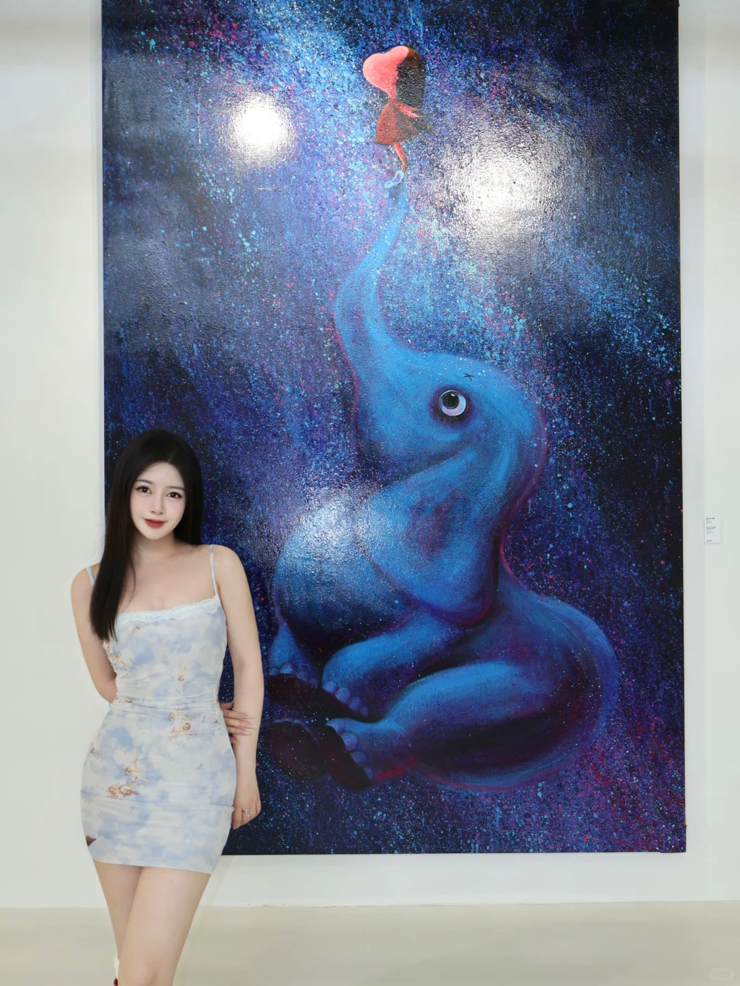 北京新展??走进如花在野的视觉盛宴