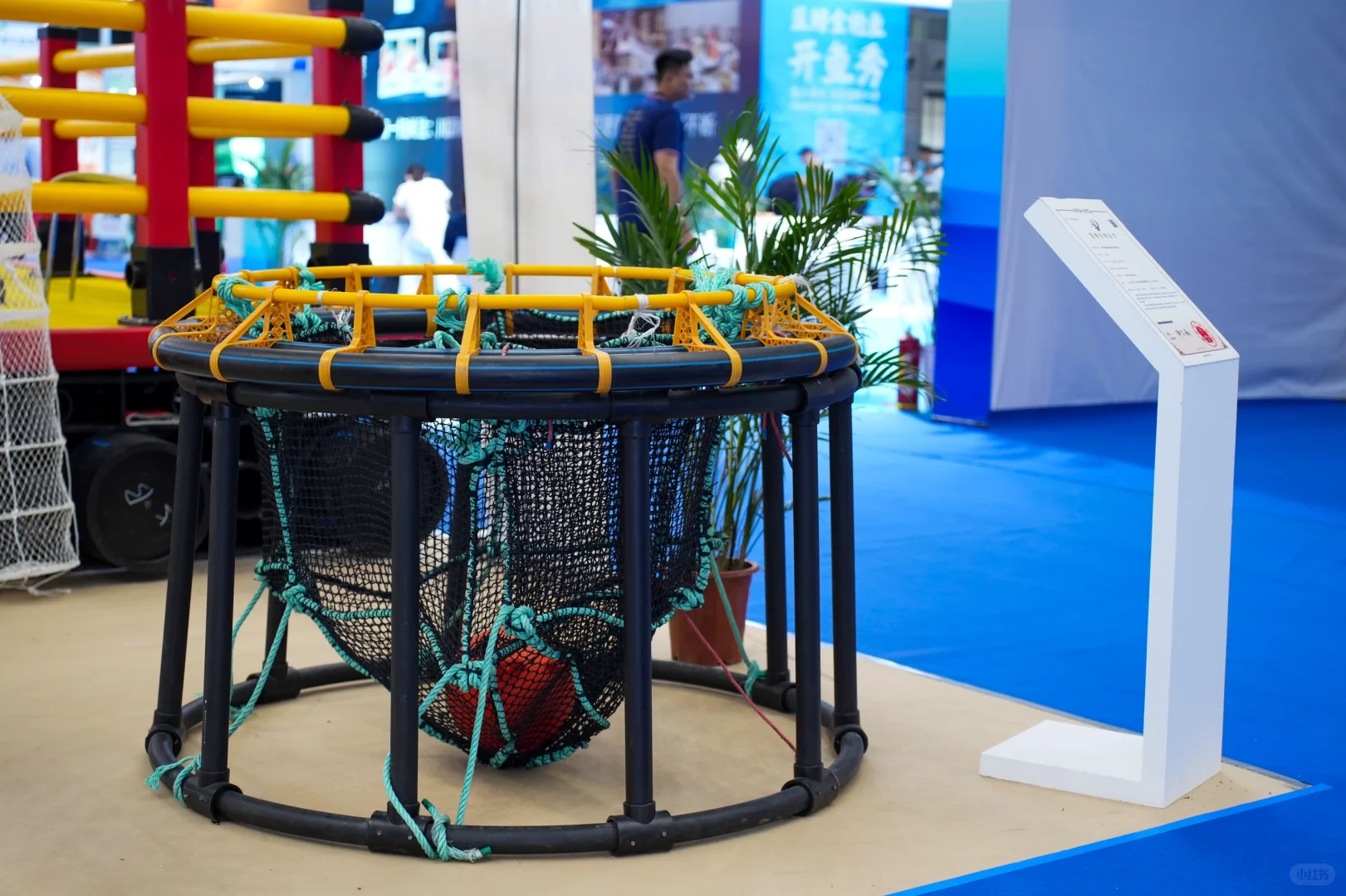?深圳渔博会 揭秘远洋渔业的星辰大海