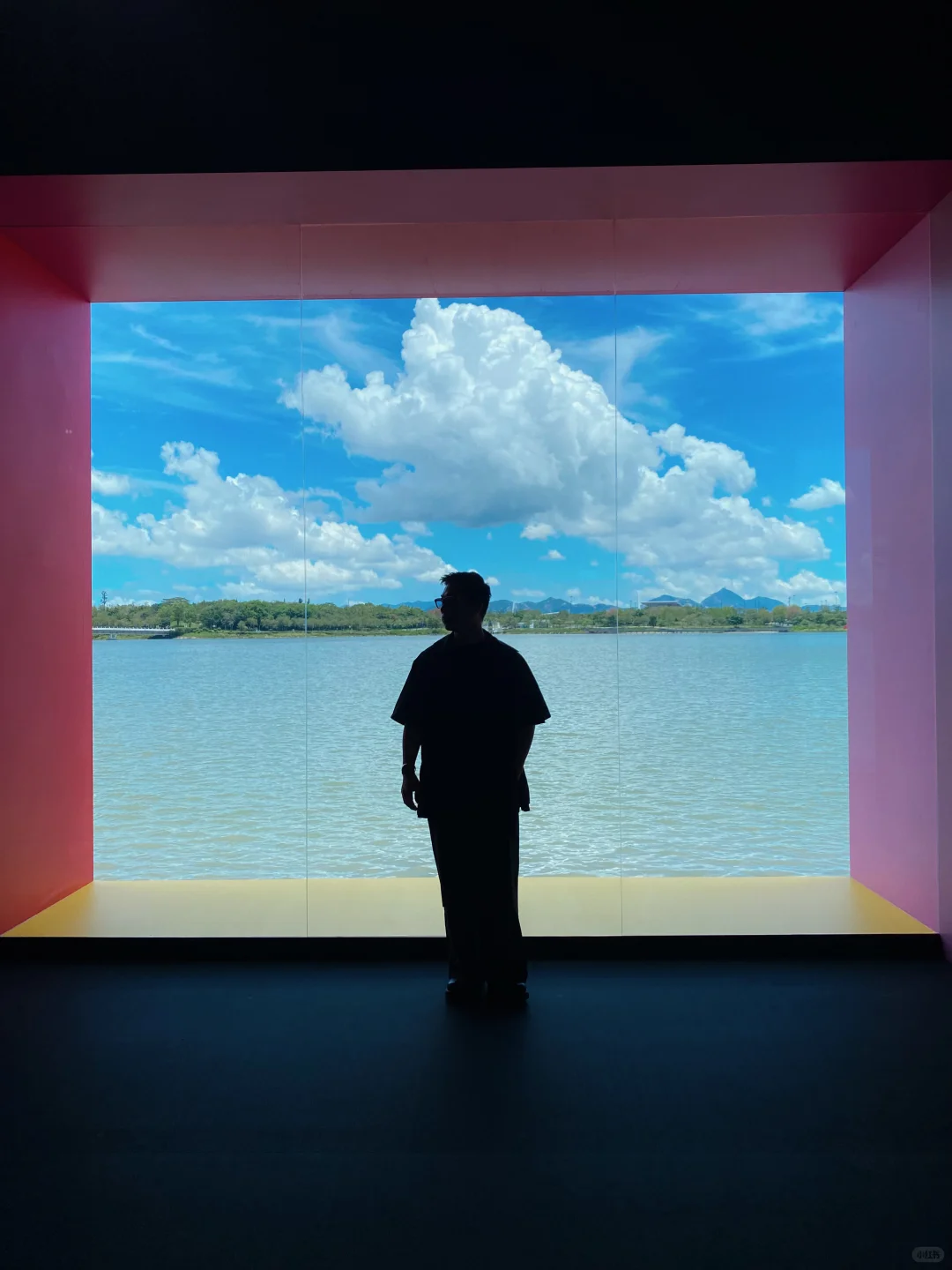 深圳海边限时展览?真的令人大开眼界啊‼️