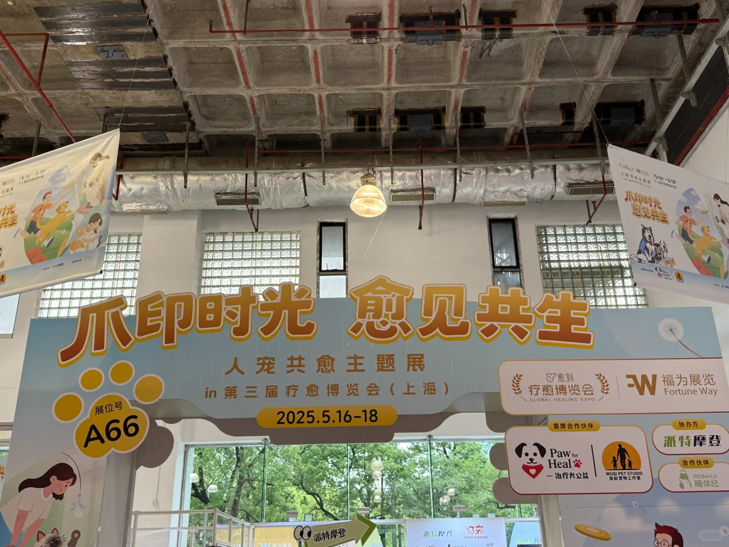 上海疗愈博览会好坏？说说我对疗愈的看法