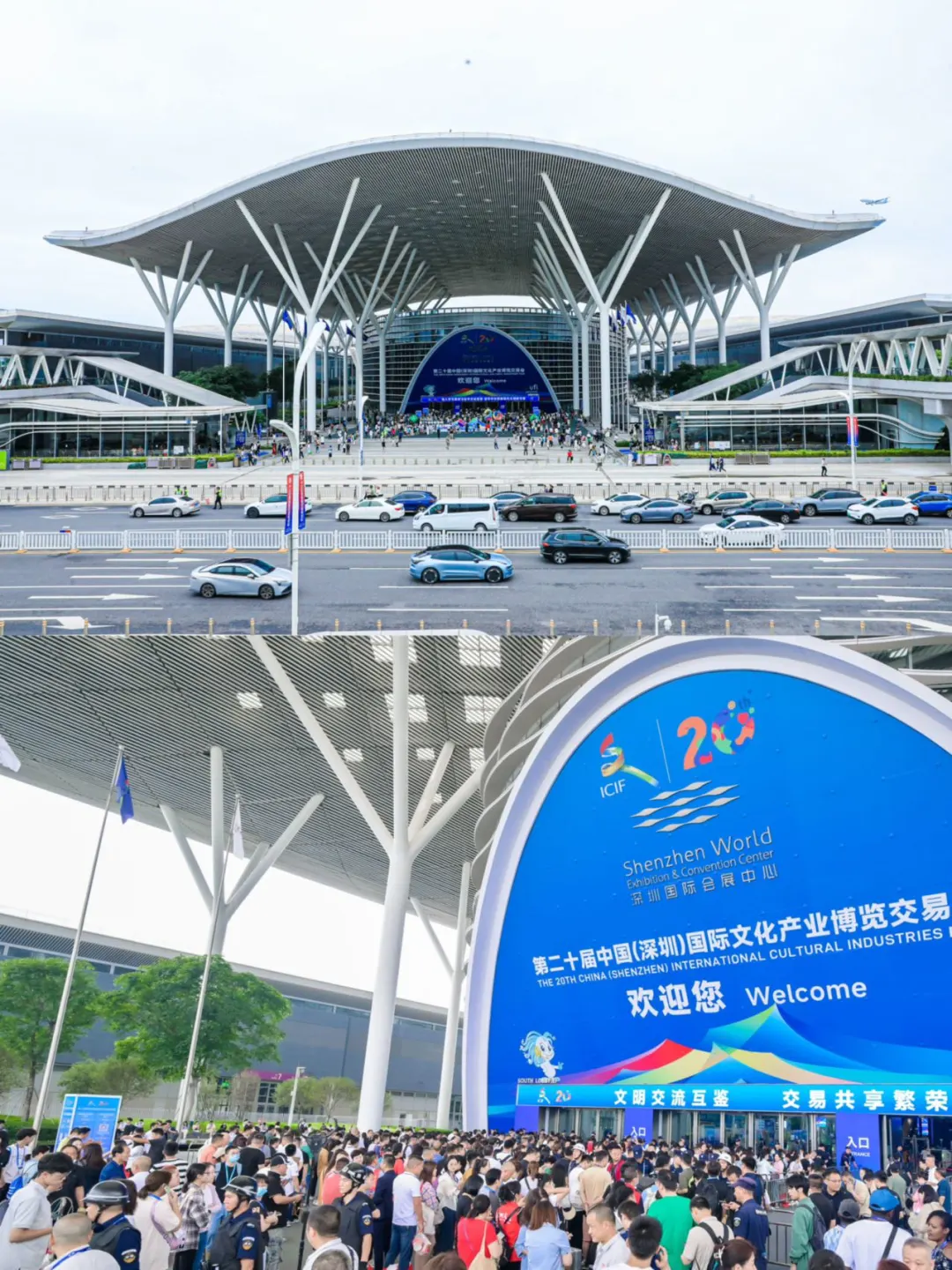 深圳文博会来啦！打卡攻略看这篇就够