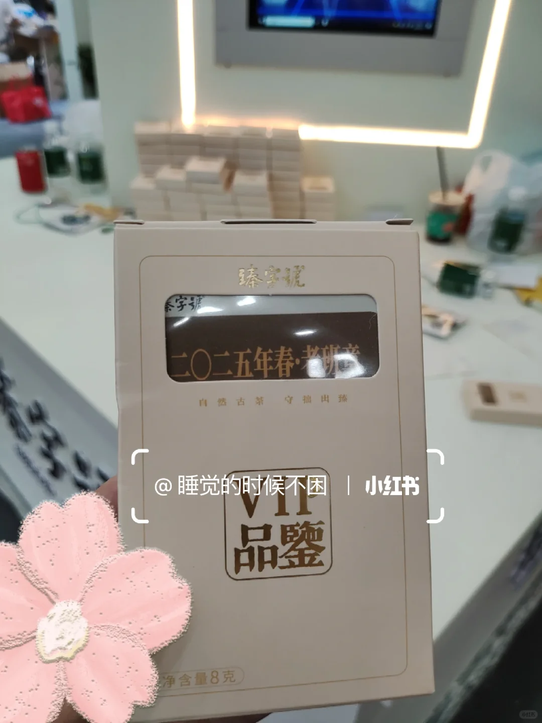 2025广州国际茶博会&茶文化节【打卡攻略】