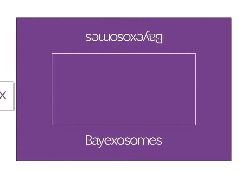 展会桌布大小怎么改