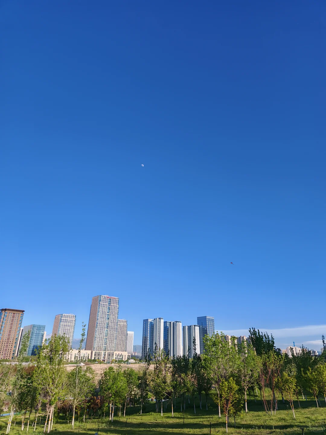 会展终于有中学了