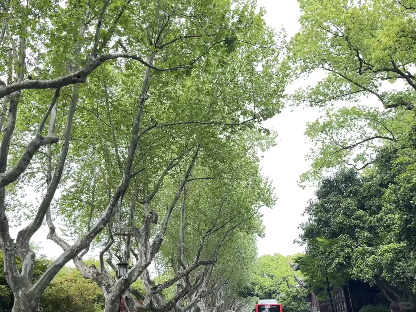 北京想要工作的快看过来～