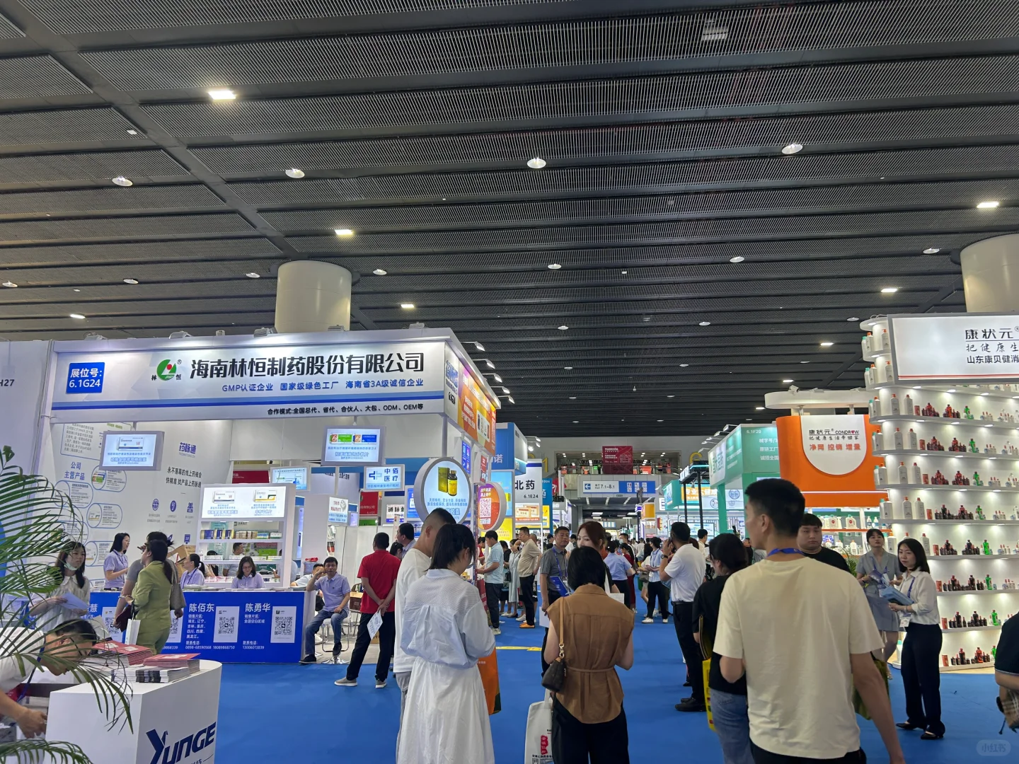 广州药交会你们都来了吗