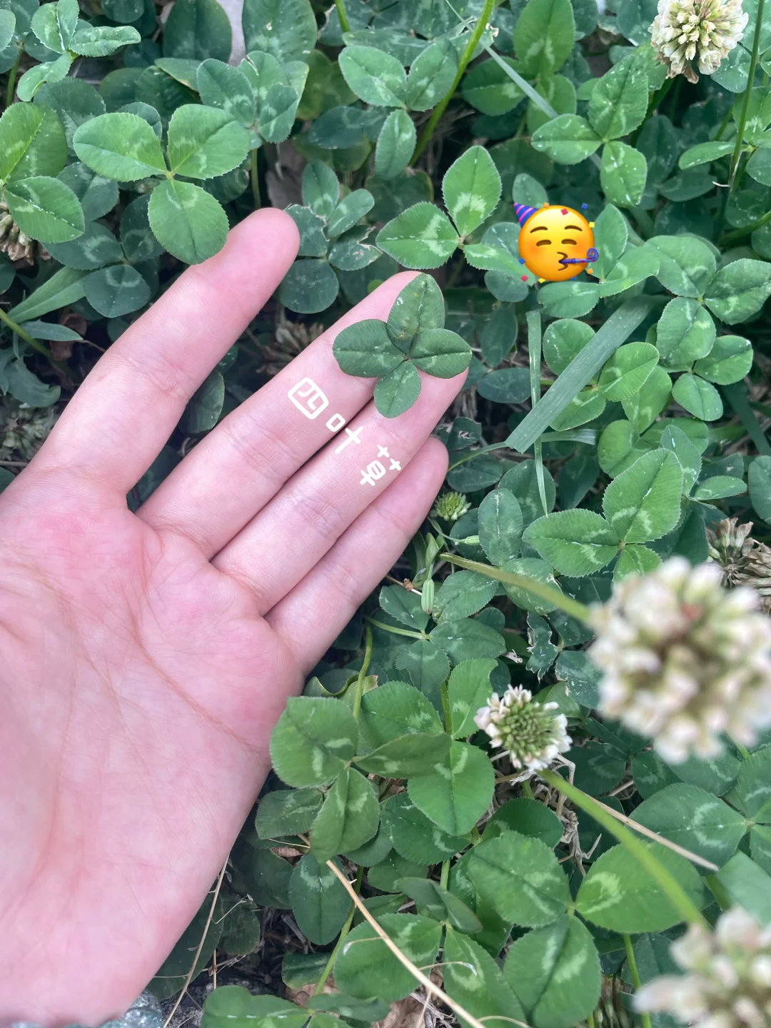 大学实习想去会展 谁能来给我点建议啊！！