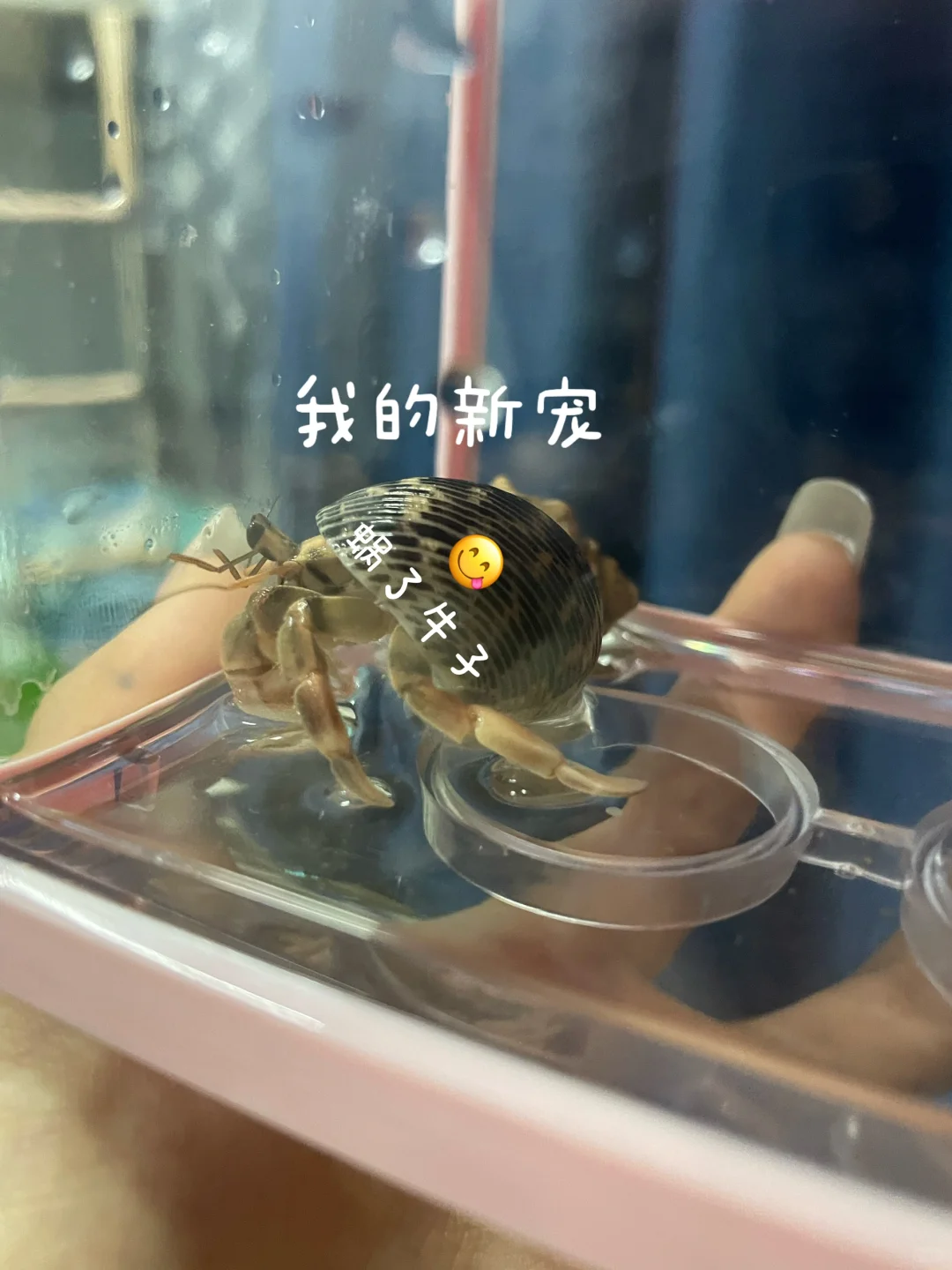 大学实习想去会展 谁能来给我点建议啊！！