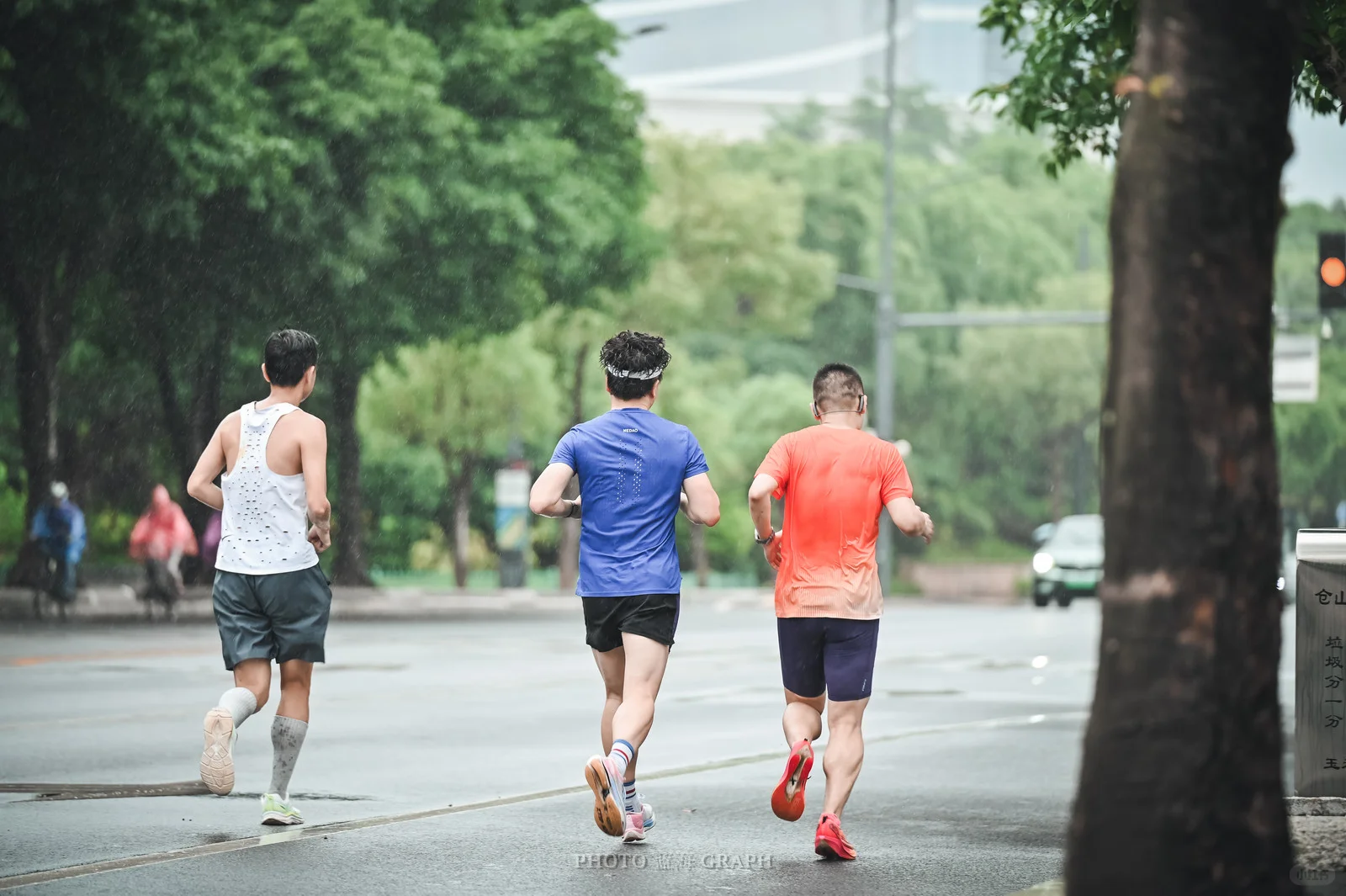 第一次会展的lsd