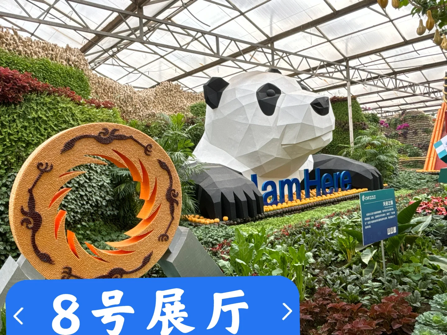 寿光菜博会跌破眼镜了！