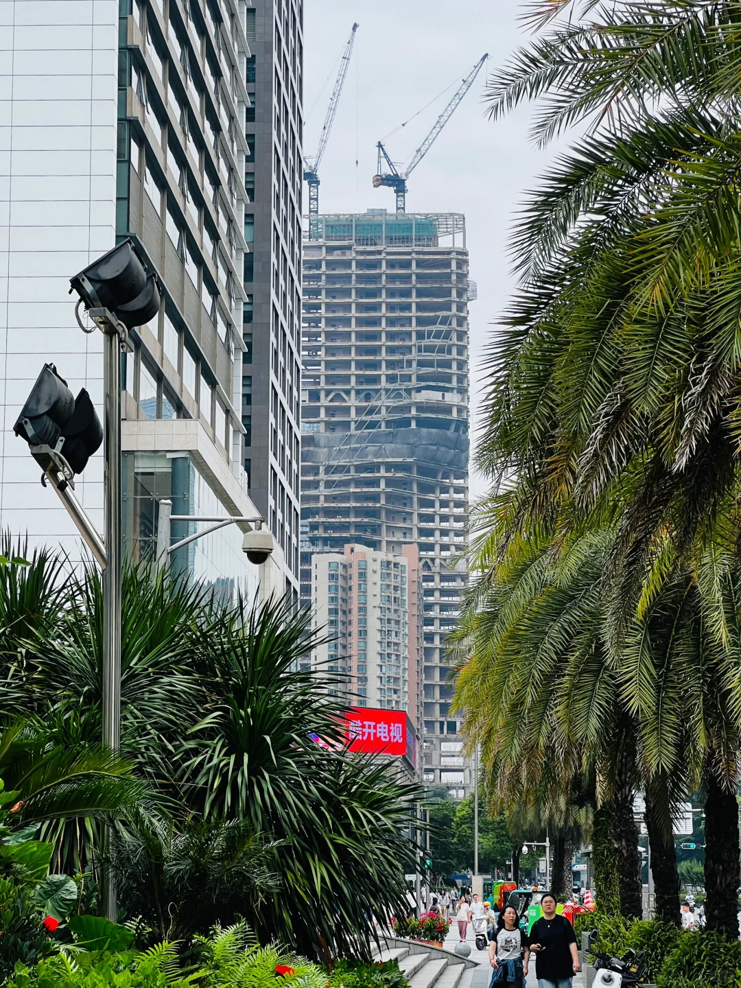 深圳漫游｜在会展中心看“福田中轴线”