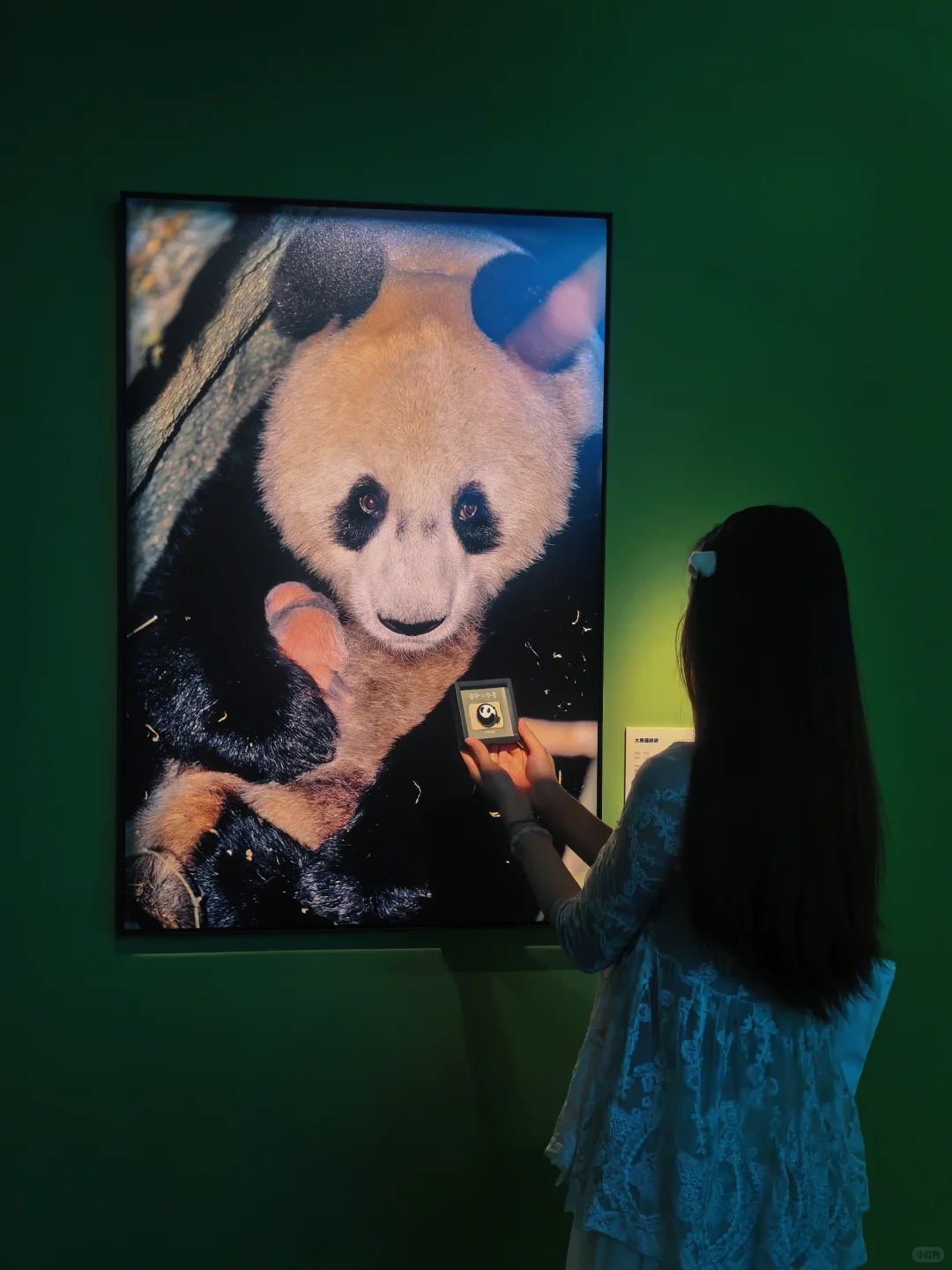 佛山新展?️国家地理的展会可以永远相信