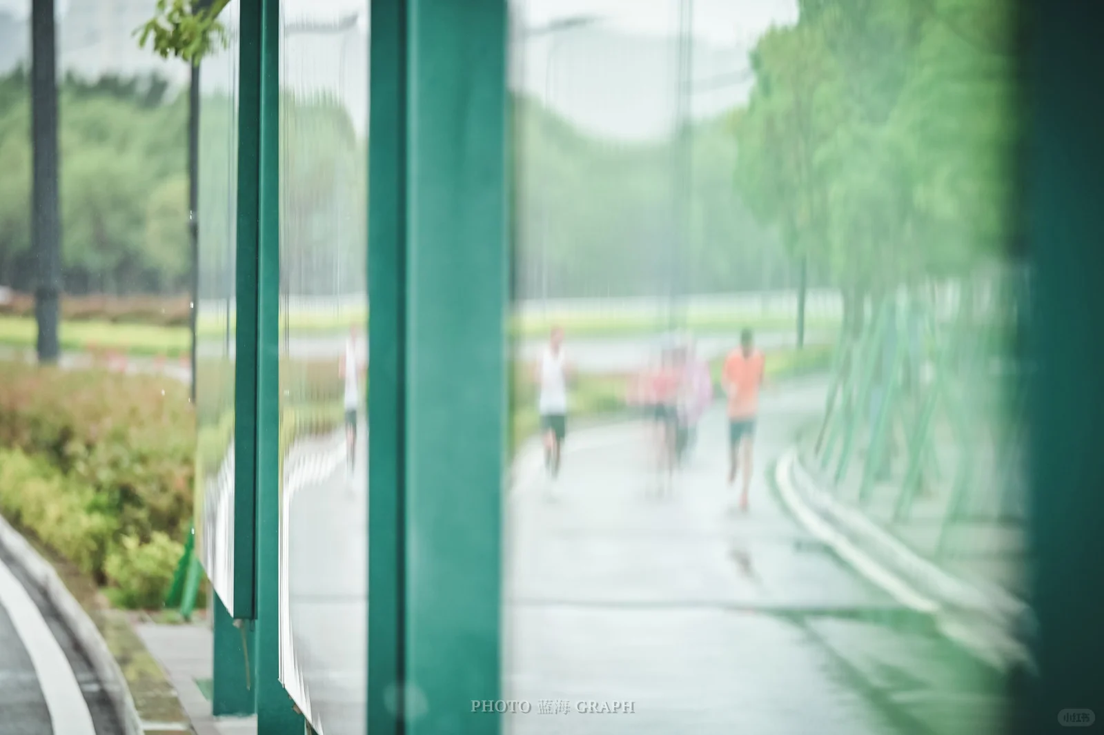 第一次会展的lsd