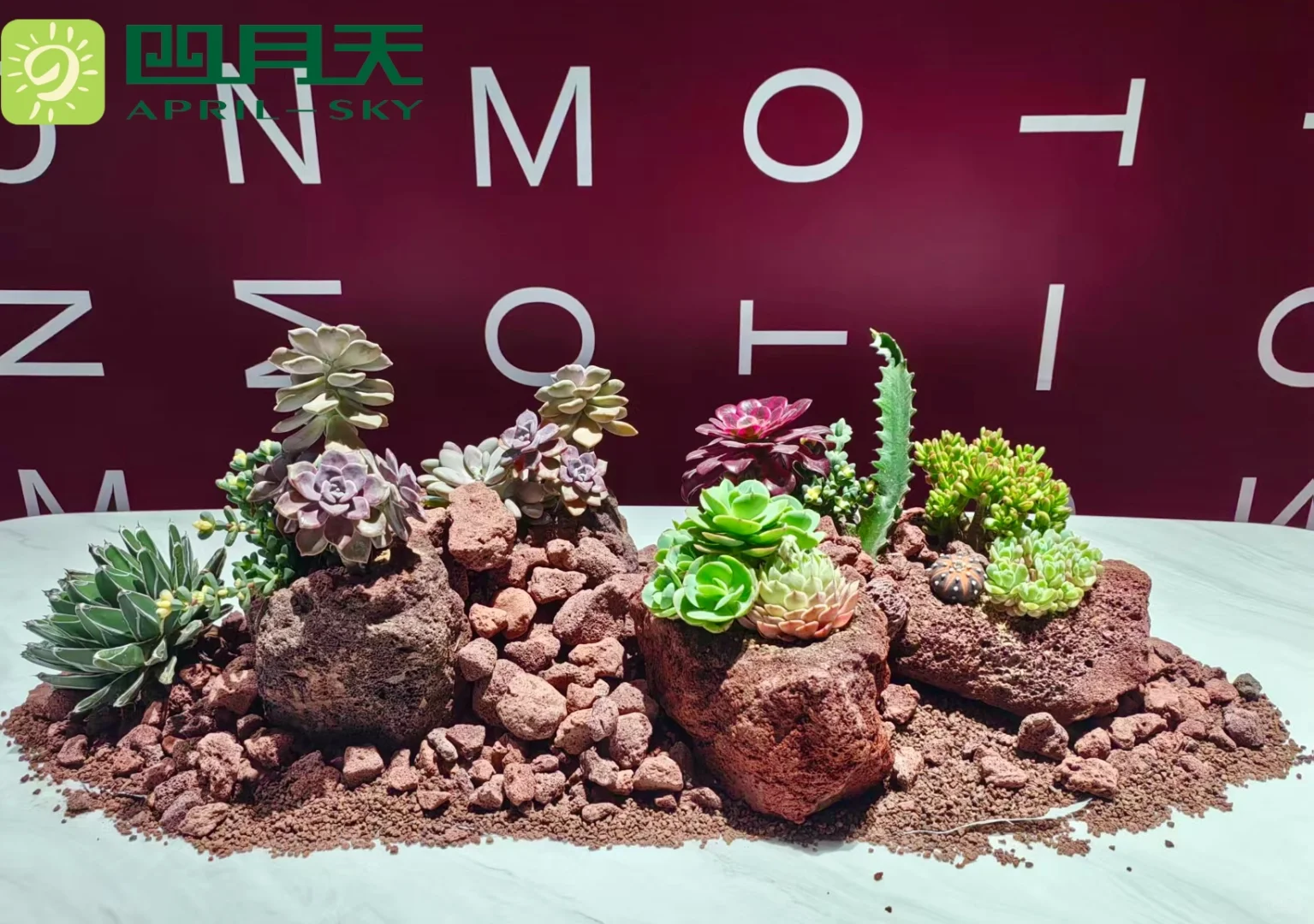 ?四月天园艺｜深圳国际会展中心