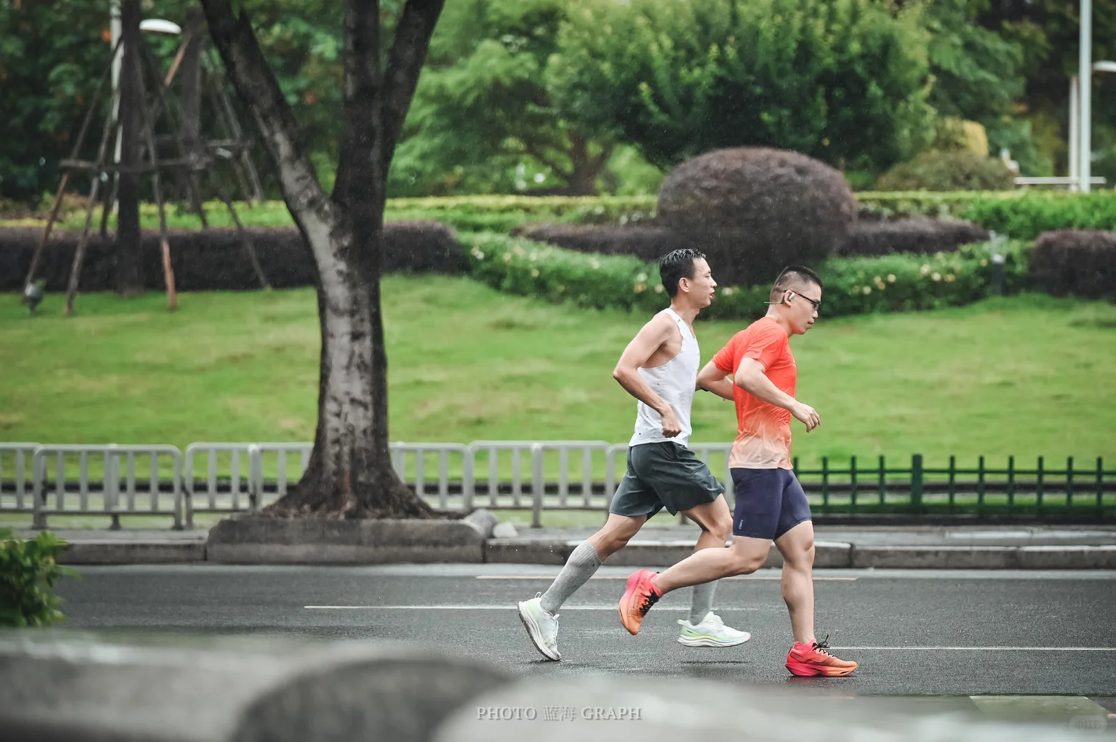 第一次会展的lsd