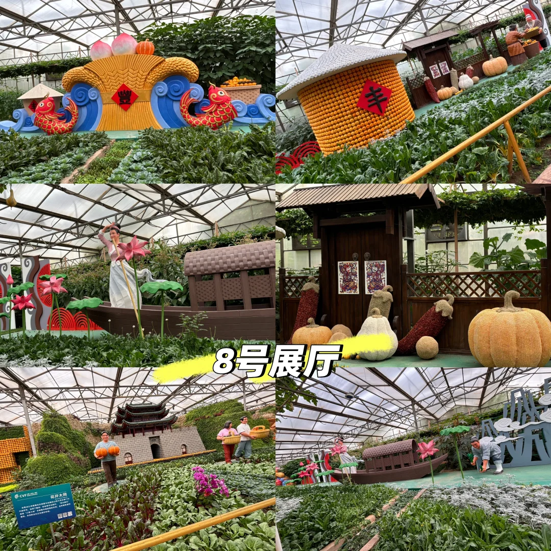 寿光菜博会跌破眼镜了！