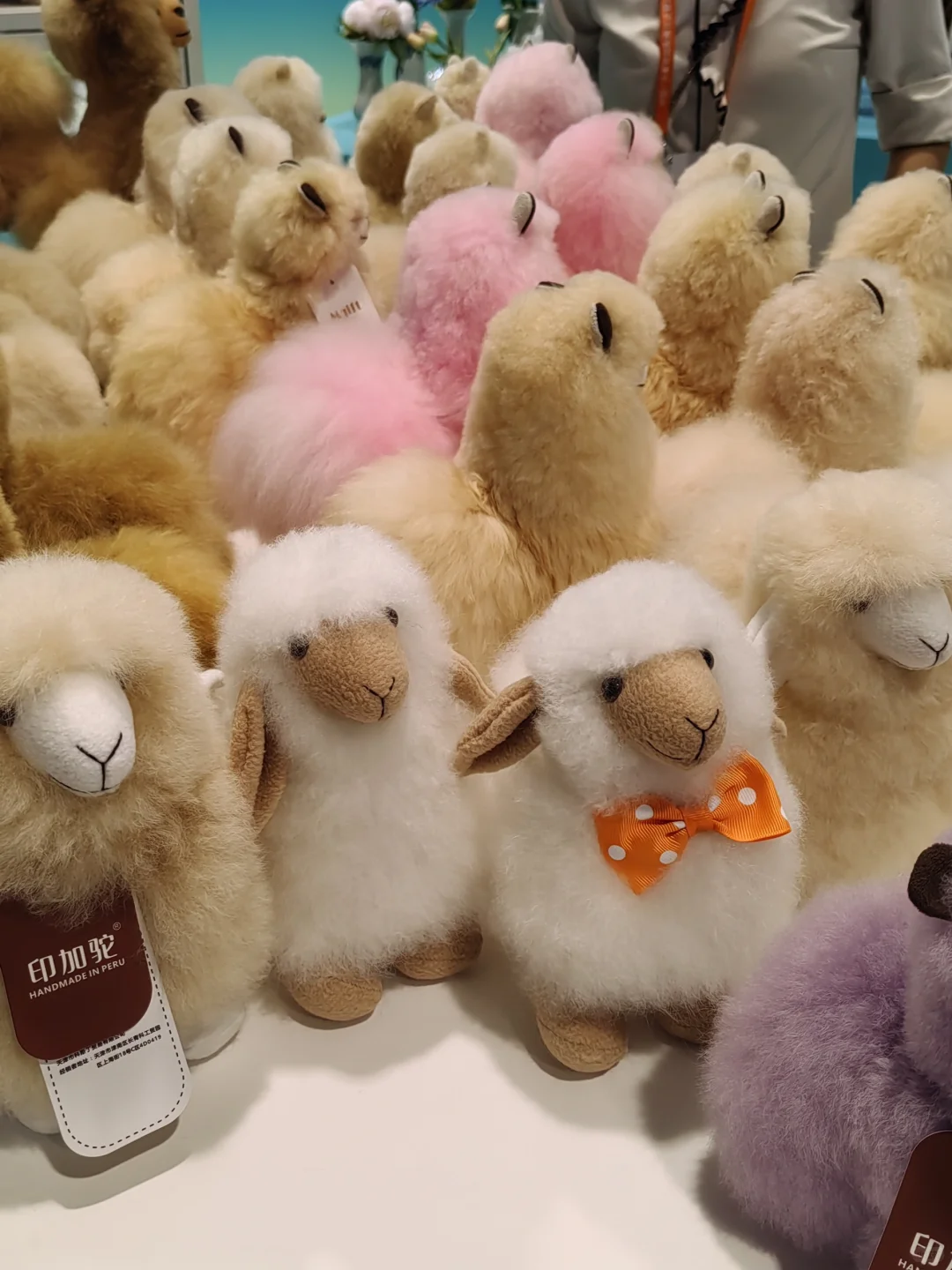 ?我从宁波中东欧博览会回来啦！