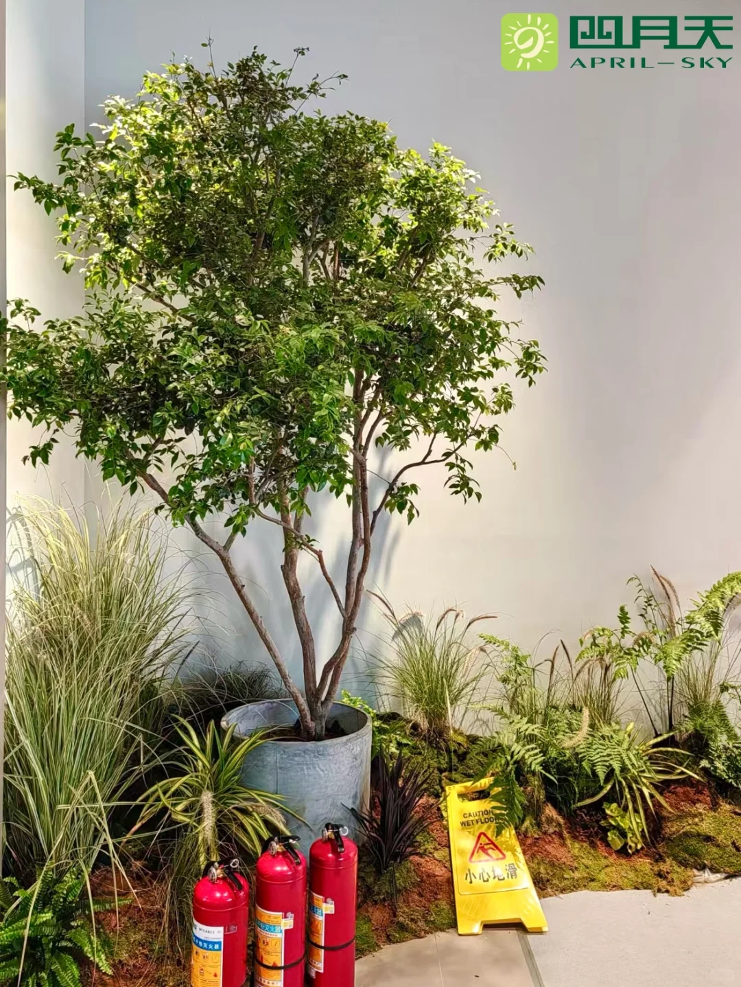 ?四月天园艺｜深圳国际会展中心