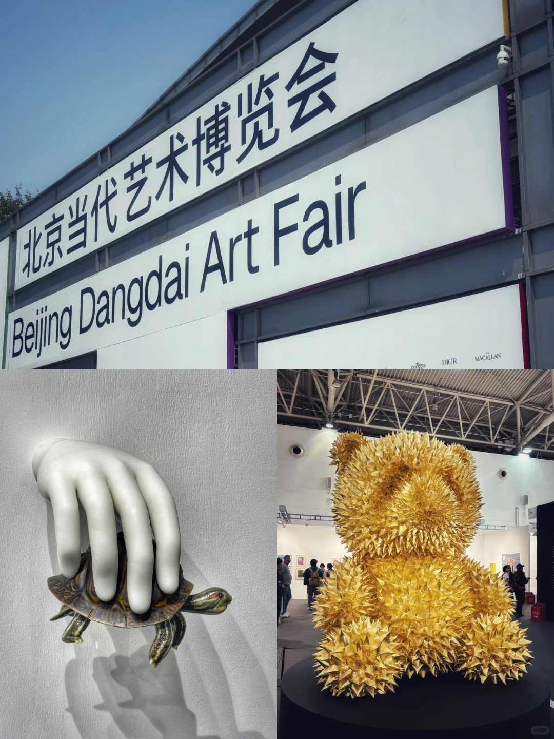 北京当代·艺术博览会，我是来打卡的