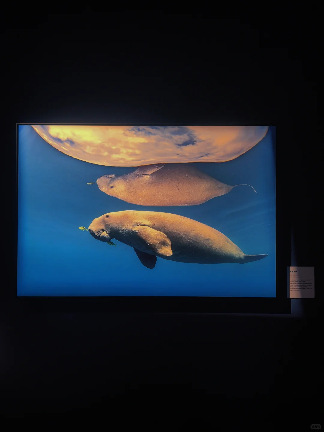 佛山新展?️国家地理的展会可以永远相信