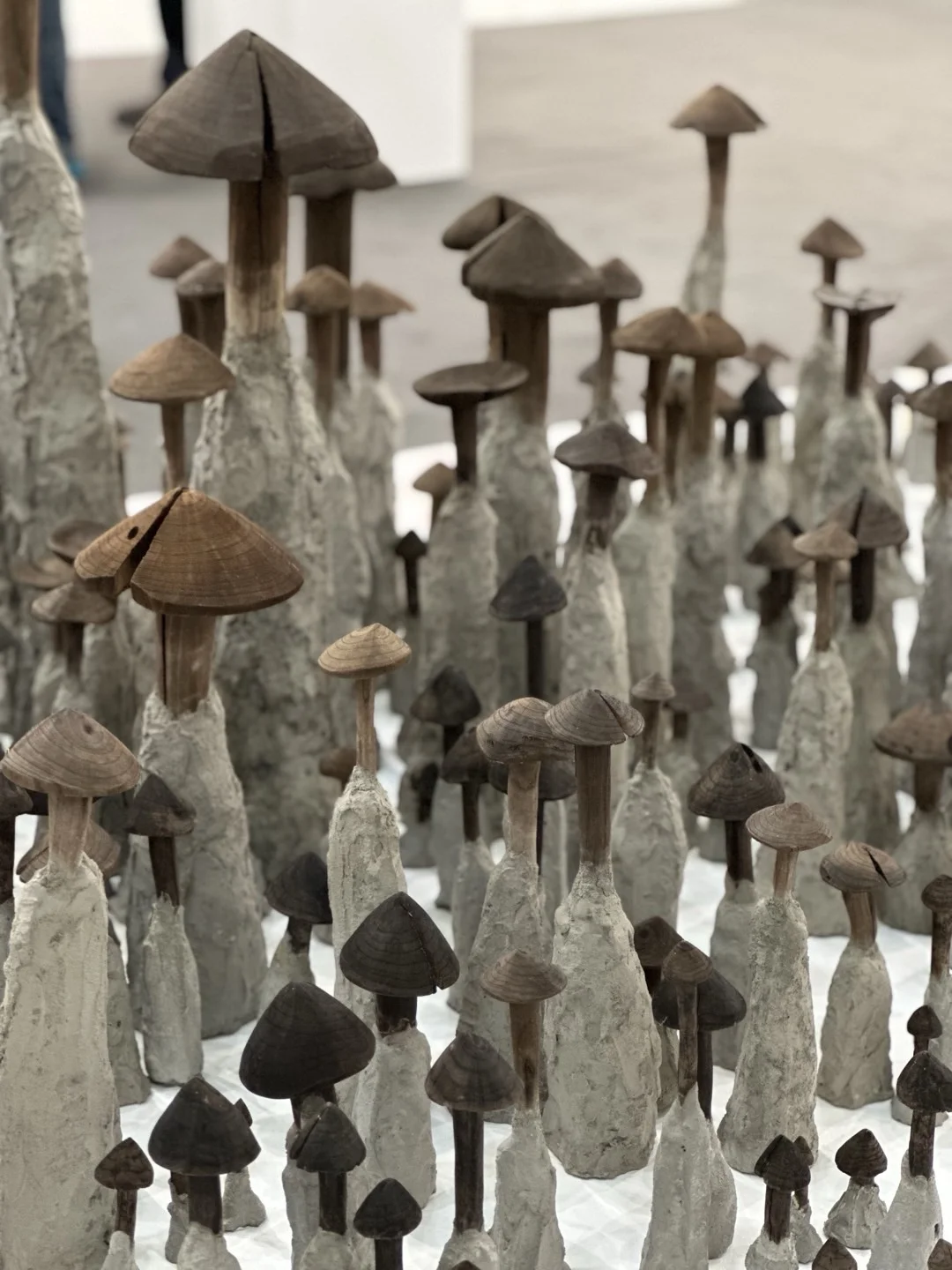 赶艺术大集,遇到申玲老师❤️