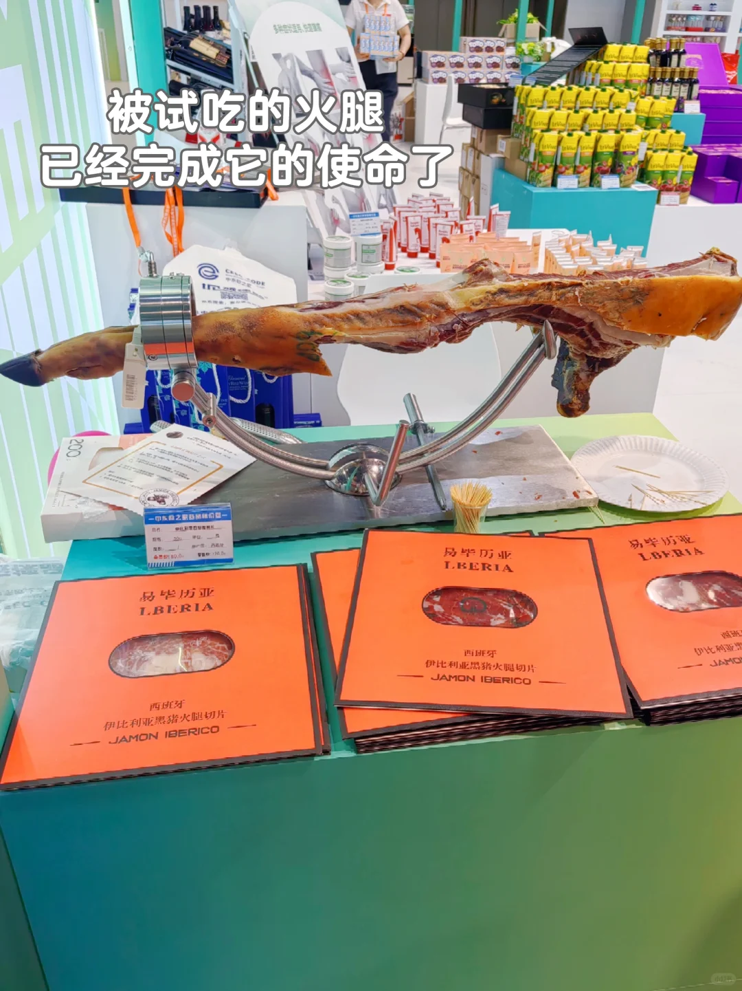 ?我从宁波中东欧博览会回来啦！