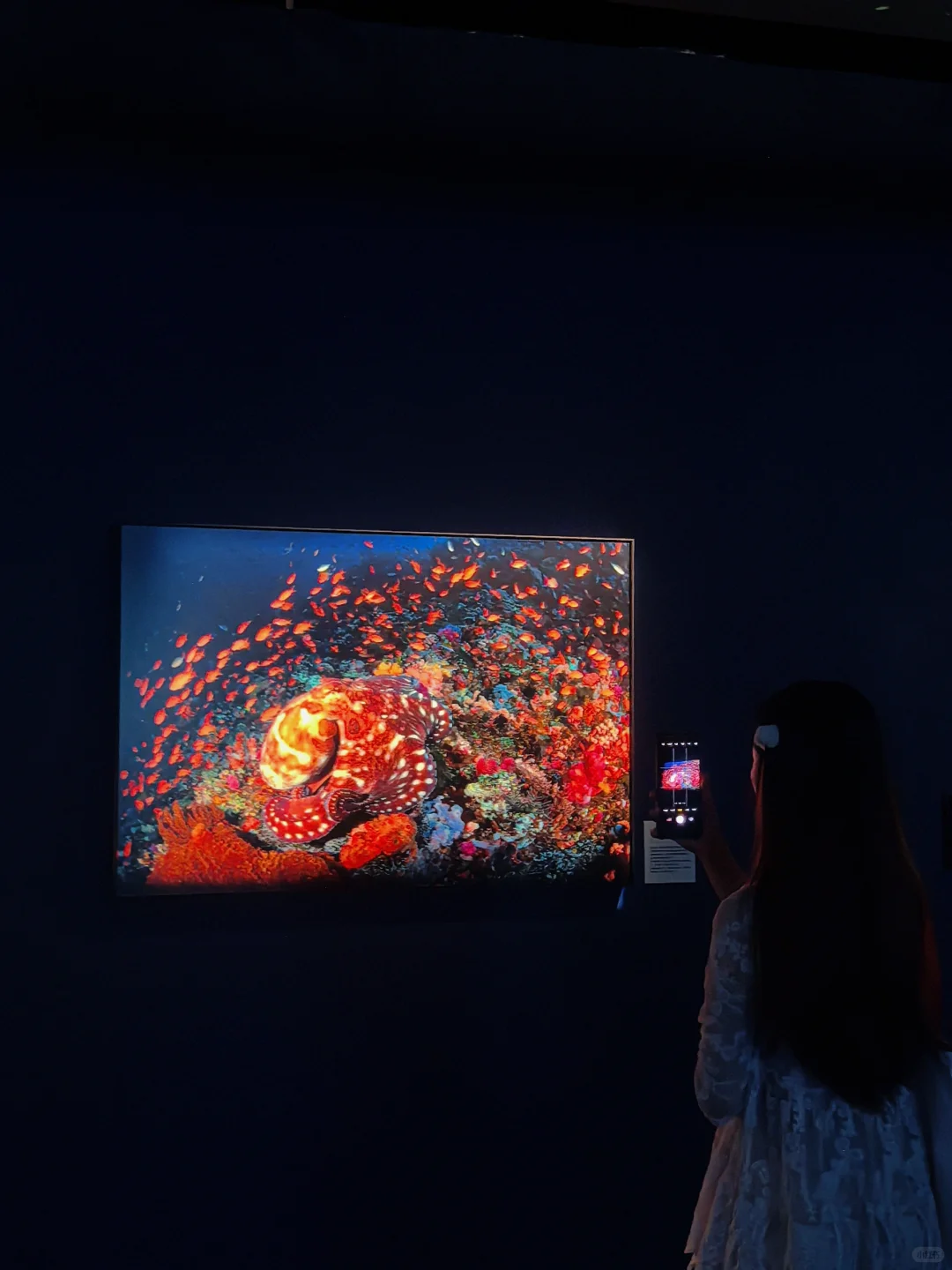 佛山新展?️国家地理的展会可以永远相信