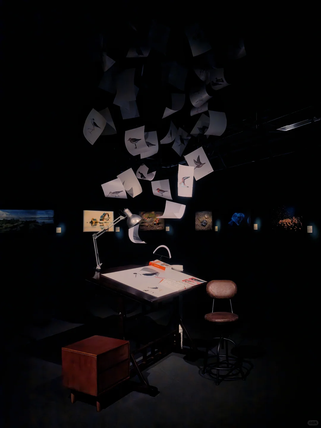 佛山新展?️国家地理的展会可以永远相信