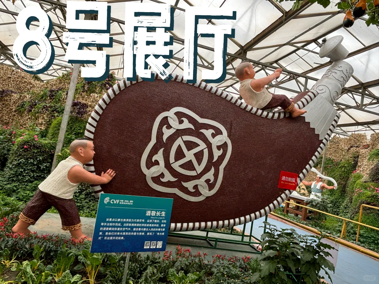 寿光菜博会跌破眼镜了！