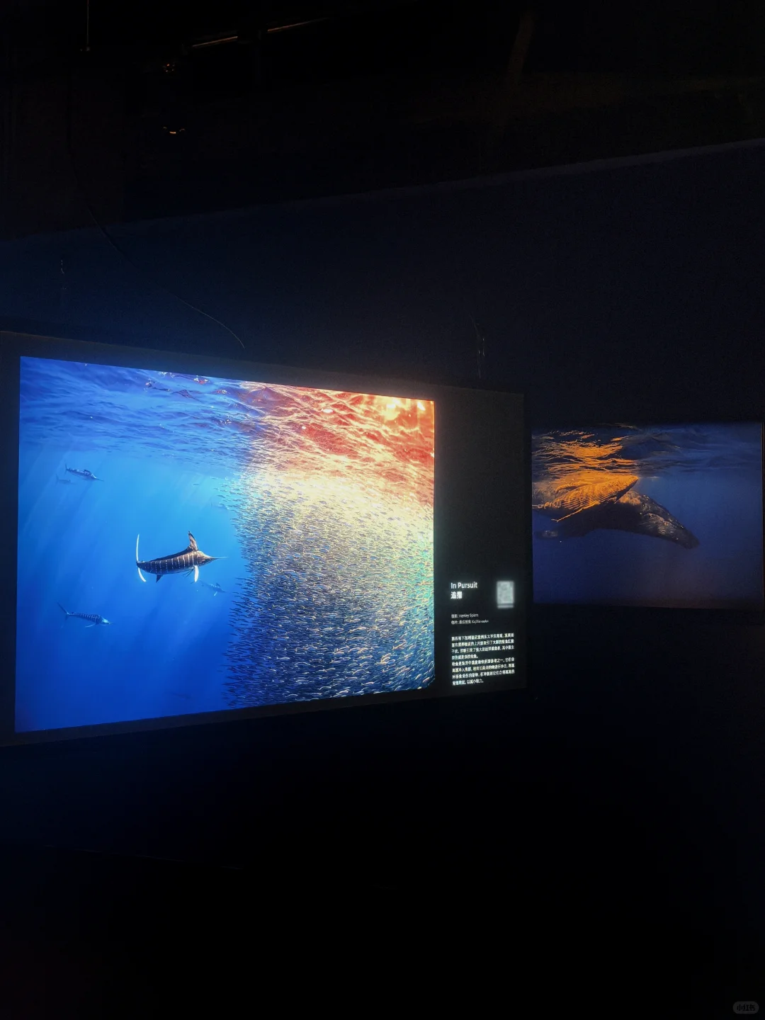 佛山新展?️国家地理的展会可以永远相信