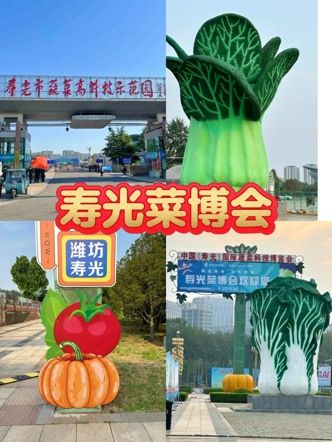 寿光菜博会跌破眼镜了！