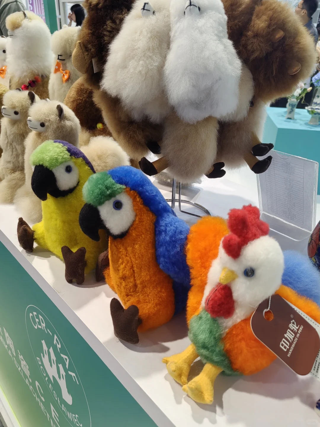 ?我从宁波中东欧博览会回来啦！