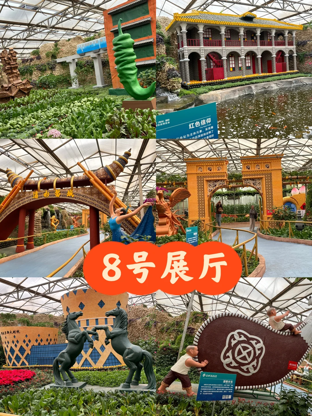 寿光菜博会跌破眼镜了！