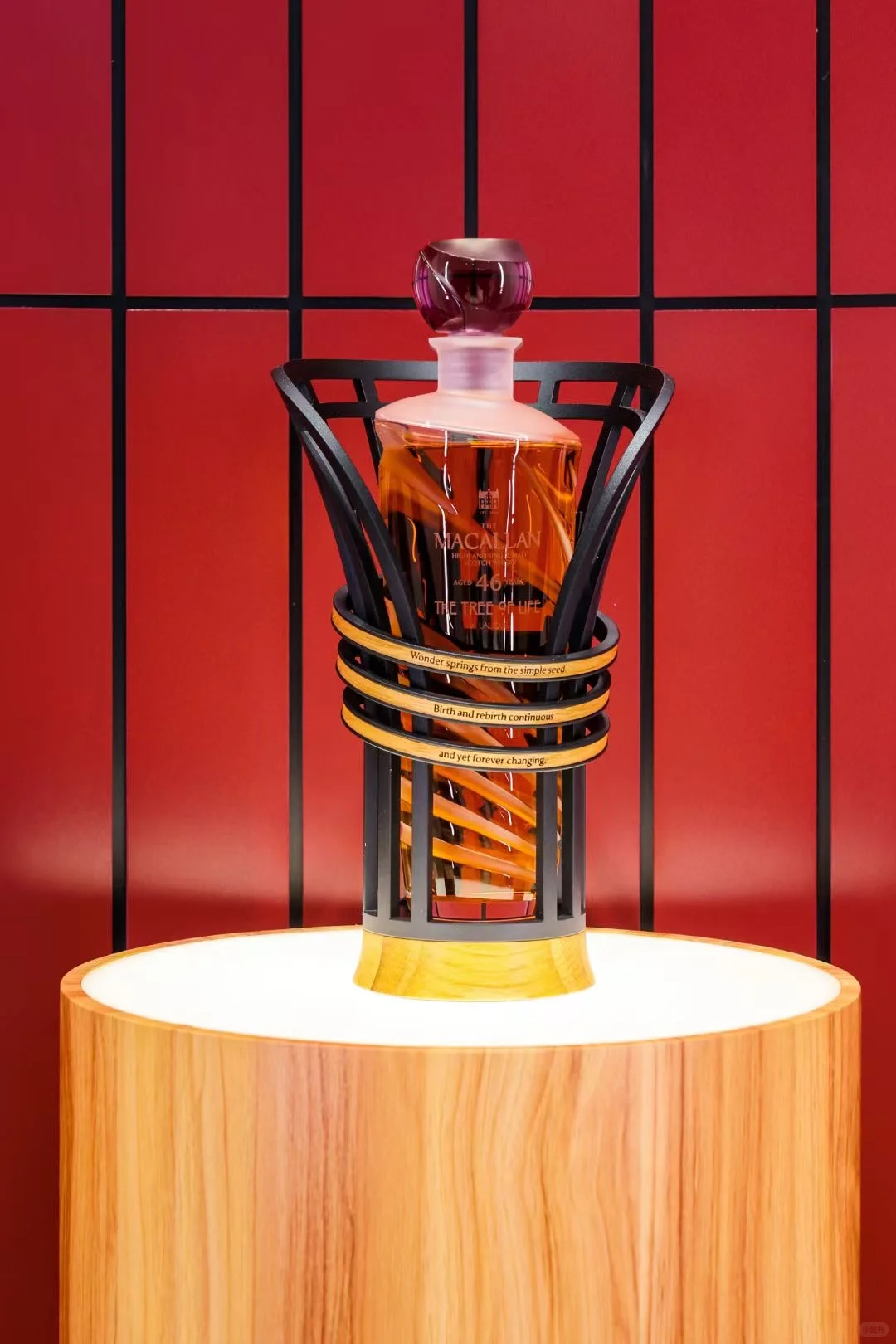 赶艺术大集,遇到申玲老师❤️