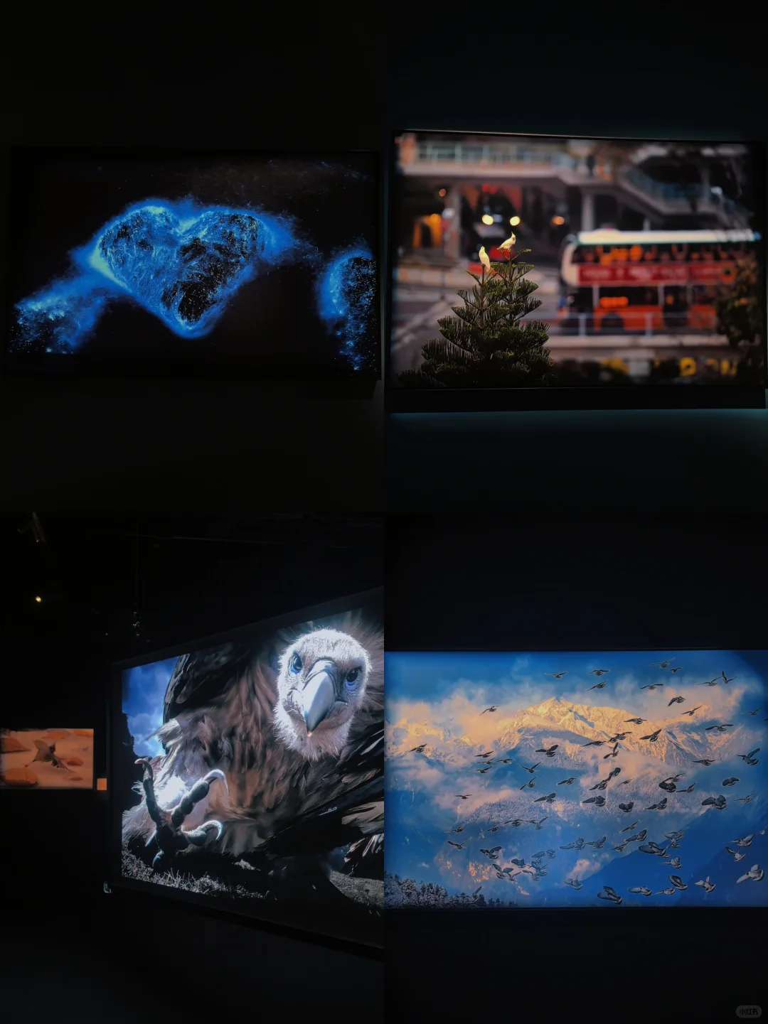 佛山新展?️国家地理的展会可以永远相信