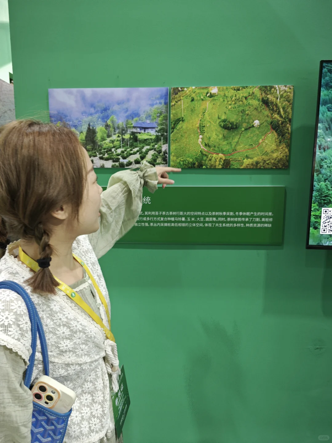 十几年看展经验|几句话告诉你茶博会怎么逛