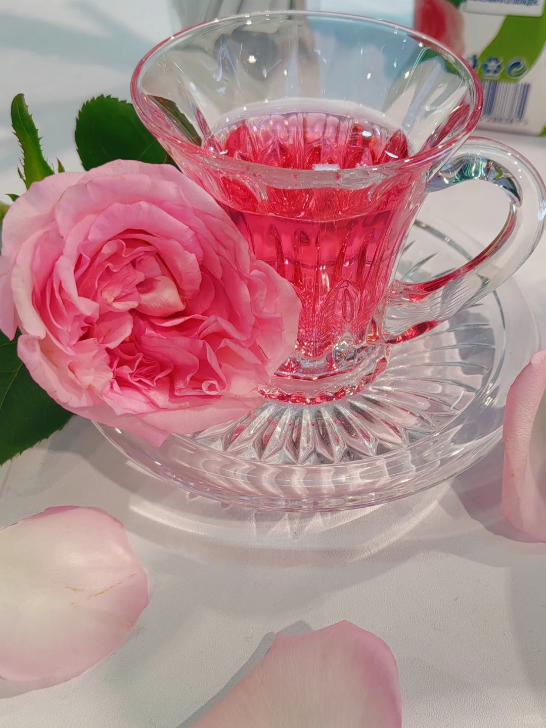 ?我从宁波中东欧博览会回来啦！