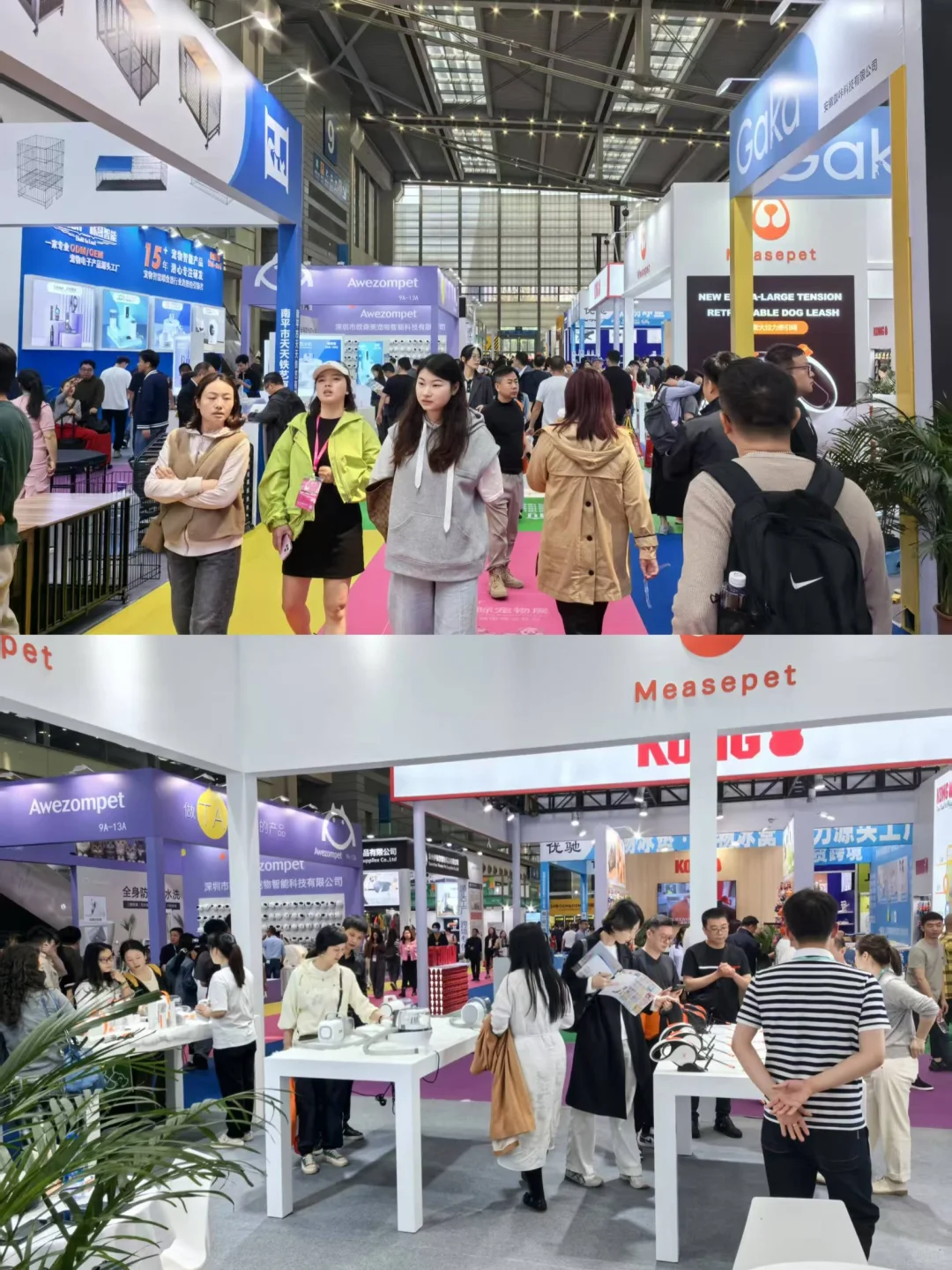 新疆宠物博览会终于来了养宠人来集合❕