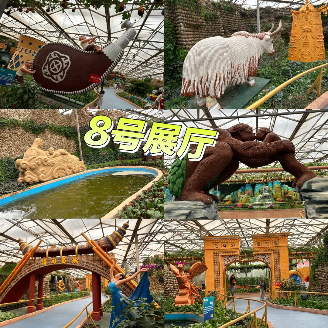 寿光菜博会跌破眼镜了！