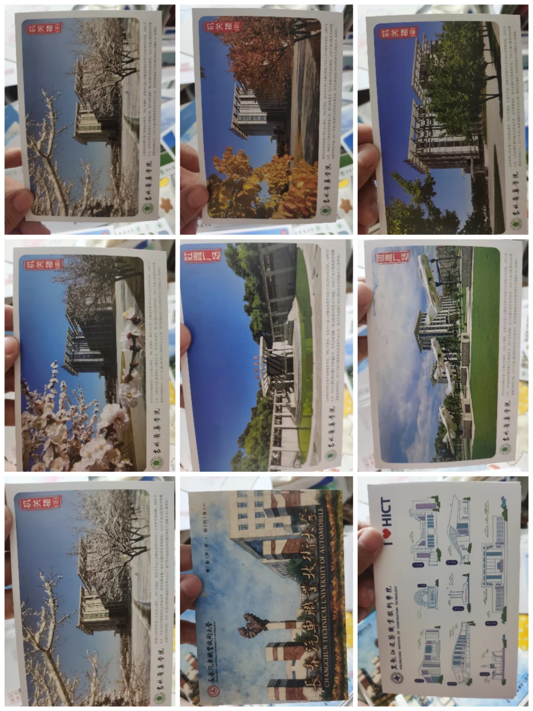 长春高等教育博览会～羊毛版