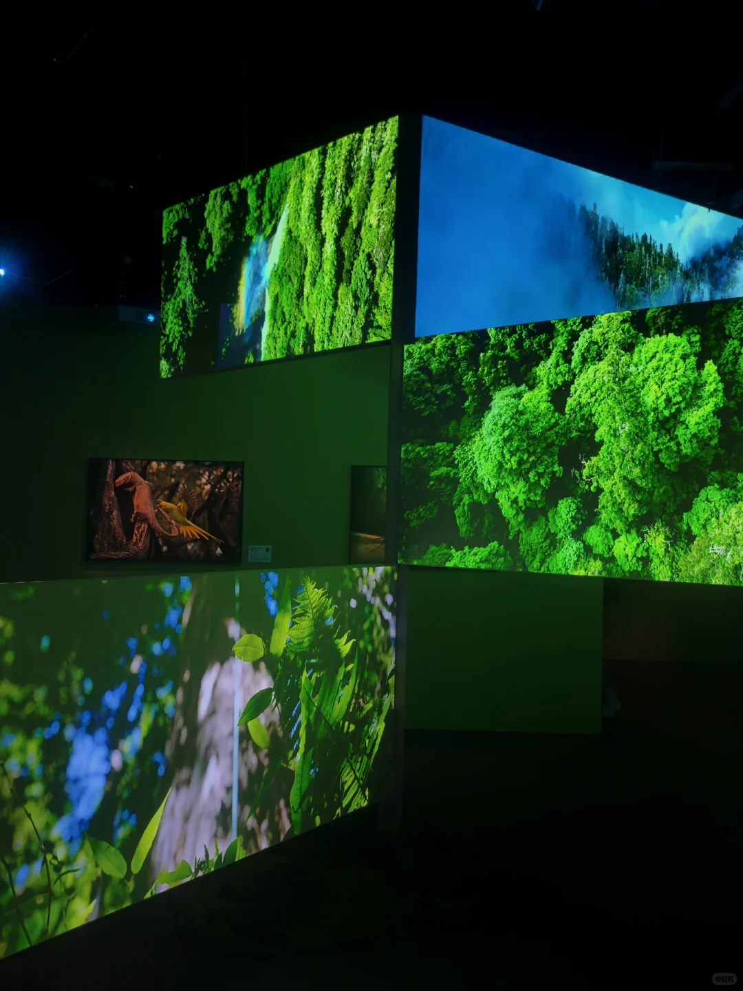 佛山新展?️国家地理的展会可以永远相信