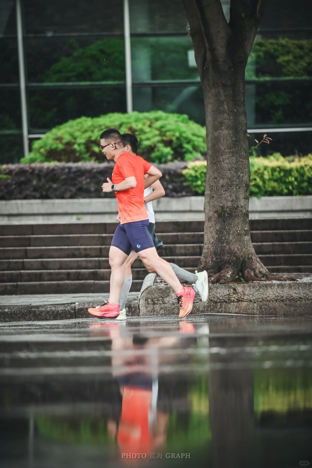 第一次会展的lsd